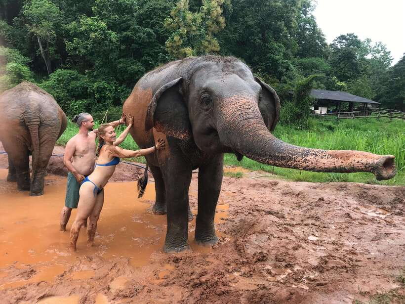 Chiang Mai: Elephant Sanctuary & Waterfall Group Tour - Feeding, touching, and watching elephants forage (the part you’ll remember)