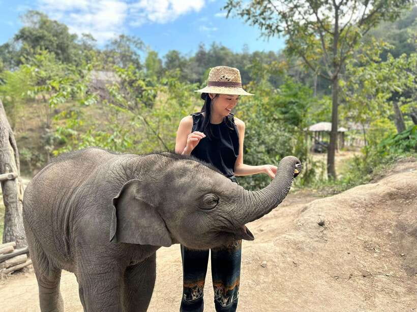 Chiang Mai: Elephant Sanctuary & Waterfall Group Tour - Thai lunch, fruit, and the right fuel for the waterfall hike