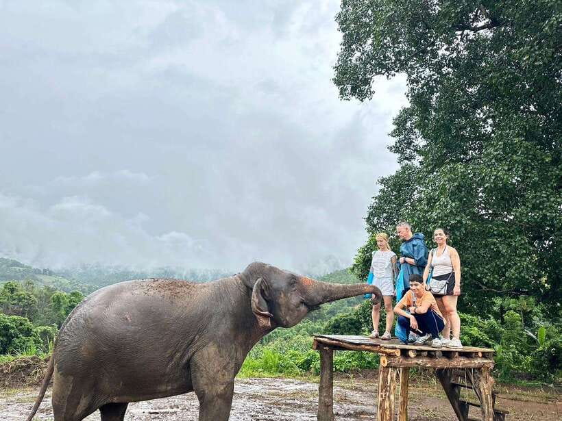 Chiang Mai: Elephant Sanctuary & Waterfall Group Tour - Value check: $50 for a full day, and where your money goes