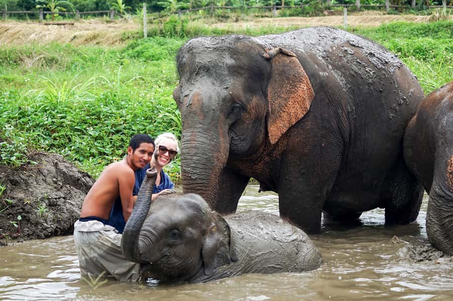 Chiang Mai: Small Group Ethical Elephant Sanctuary Tour - Who should book this tour, and who should consider alternatives