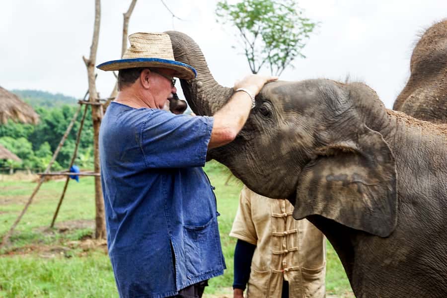 Chiang Mai: Small Group Ethical Elephant Sanctuary Tour - Guides and the small-group advantage