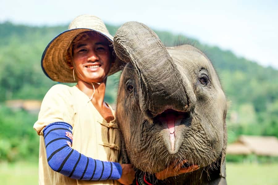 Chiang Mai: Small Group Ethical Elephant Sanctuary Tour - Entering Lanna Kingdom: where elephants roam freely