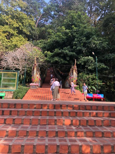 Chiang Mai: Wat Pha Lat & Wat Phra That Doi Suthep Tour - Price and value: what $24 gets you, and what to budget for