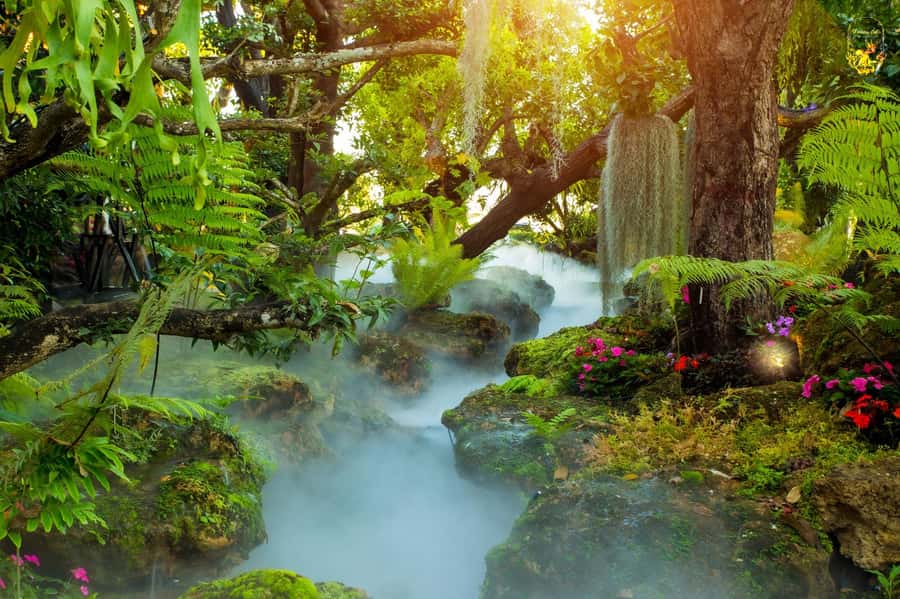 Chiangmai to Chiangrai: 3 Temples, Hot Springs& Lalitta Cafe - Lunch and the value equation: what your ticket really buys