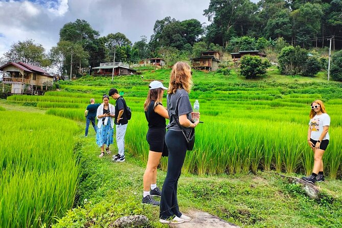 Doi Inthanon Waterfall and Royal Project Chiang Mai - Highest point in Thailand: what you’re actually doing up there
