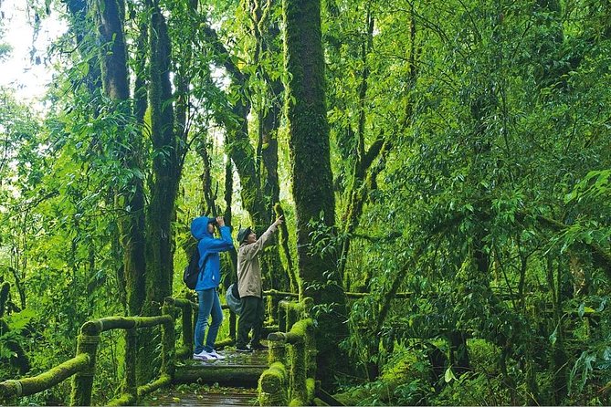 Doi Inthanon Waterfall and Royal Project Chiang Mai - Hilltribe village visit and the Royal Project Hmong market