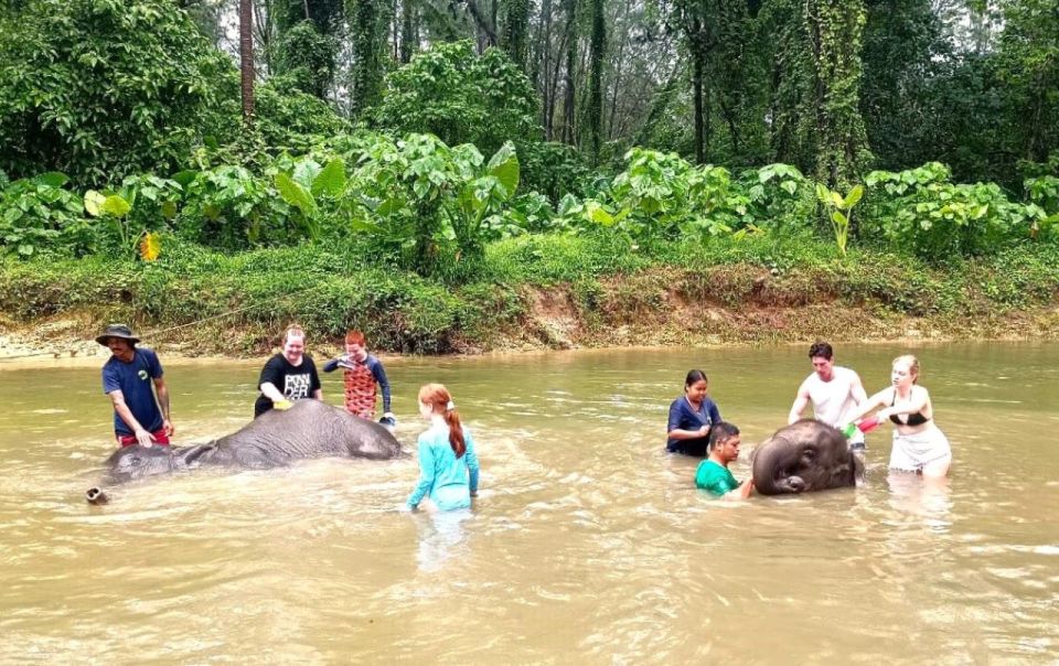 Ethical Elephant Sanctuary Experience in Khao Lak - Why this Khao Lak elephant sanctuary feels different