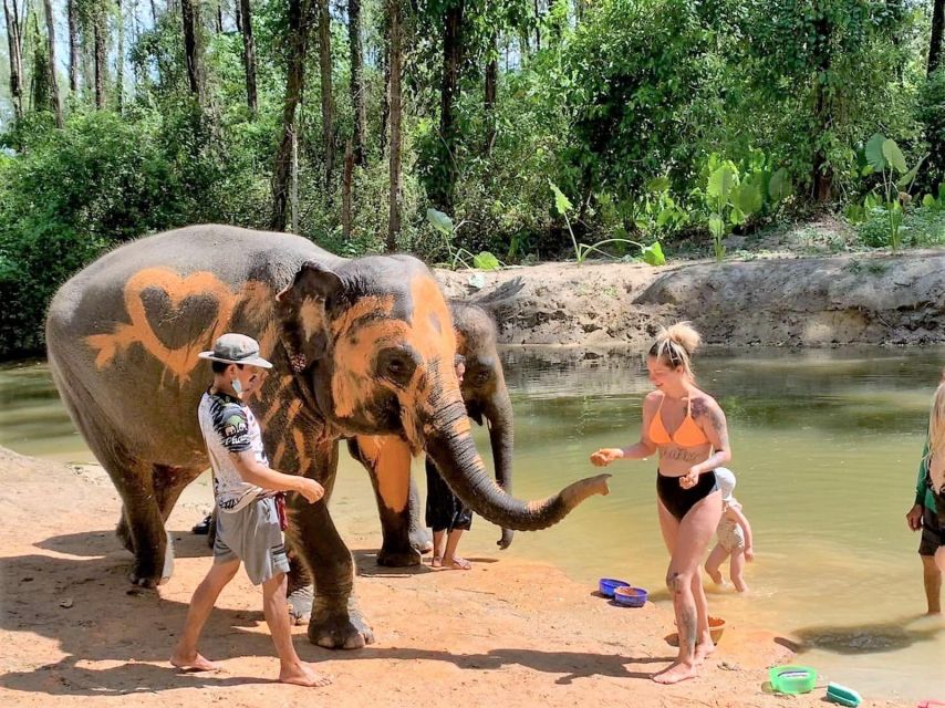 Ethical Elephant Sanctuary Experience in Khao Lak - The orientation: elephants explained in 40 languages
