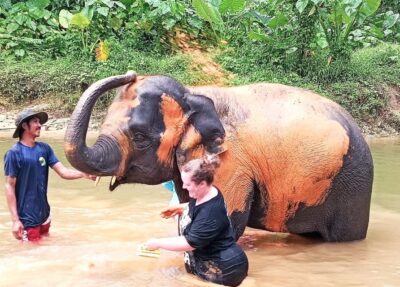 Ethical Elephant Sanctuary Experience in Khao Lak - The drive from Khao Lak: calm, quick, and crowd-free