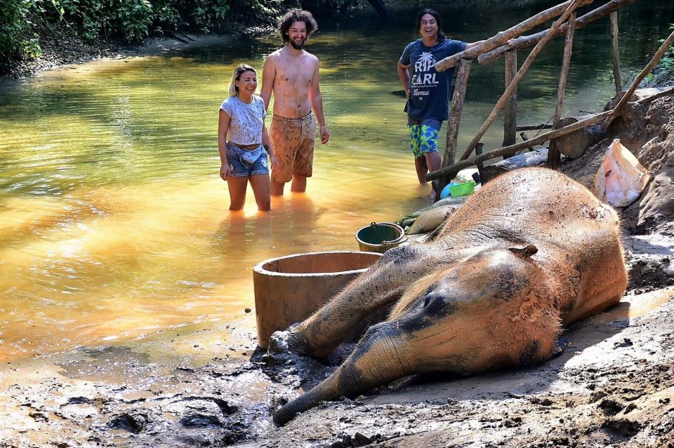 Ethical Elephant Sanctuary Experience in Khao Lak - Herbal elephant care prep: a hands-on activity with meaning