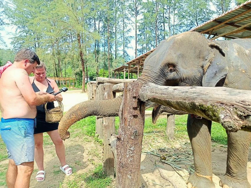 Ethical Elephant Sanctuary Experience in Khao Lak - The observation walk: following behind, not controlling