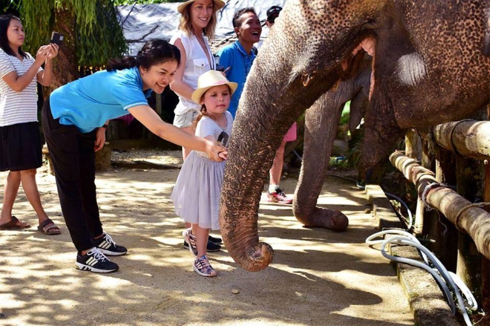 Ethical Elephant Sanctuary Experience in Khao Lak - Mud-bath viewing from a natural creek platform