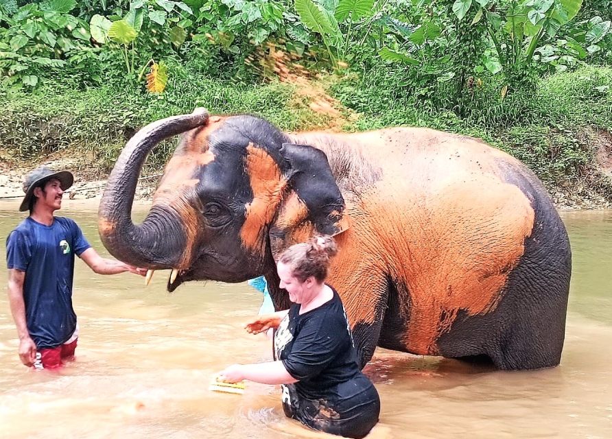Ethical Elephant Sanctuary Experience in Khao Lak - The drive from Khao Lak: calm, quick, and crowd-free