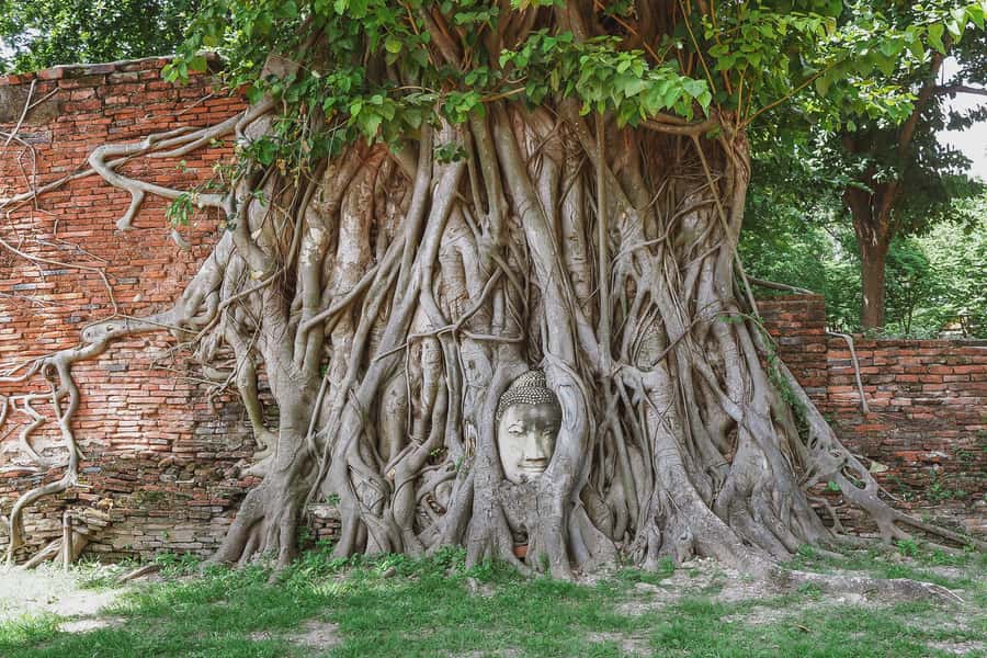 From Bangkok: Ayutthaya Day Tour by Bus with River Cruise - Wat Lokayasutharam: The 42-Meter Reclining Buddha Moment
