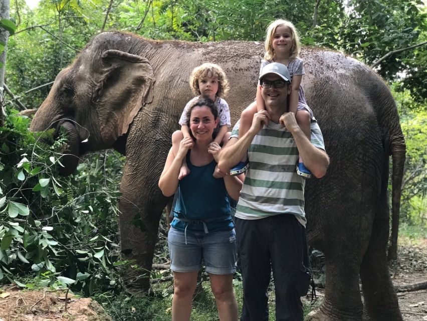 From Bangkok: Pattaya Ethical Elephant Sanctuary Day Trip - River swim and bathing: the highlight for many people