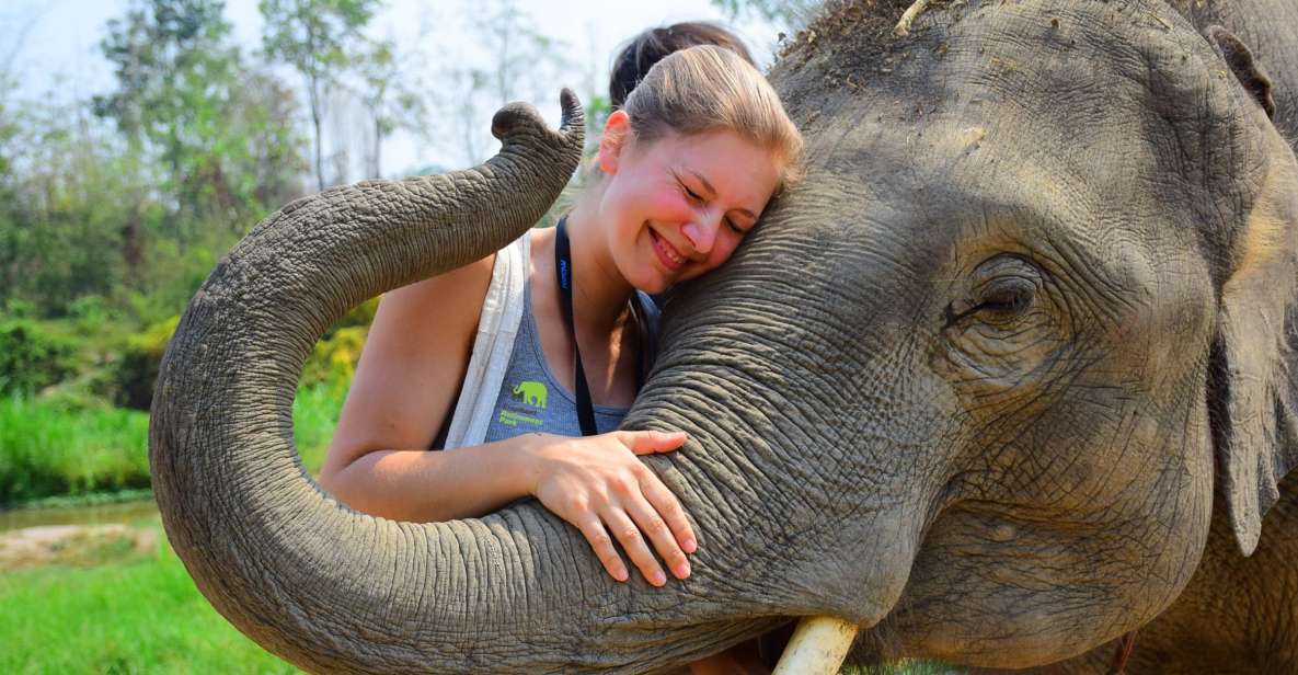 From Chiang Mai: Elephant Care Program and Nursery Tour - Chiang Mai Pickup to Mae Tang: Starting the Day Without Stress