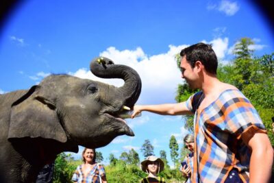 From Chiang Mai: Elephant Care Program and Nursery Tour - Changing Into Local Clothes and Getting Oriented Like a Pro