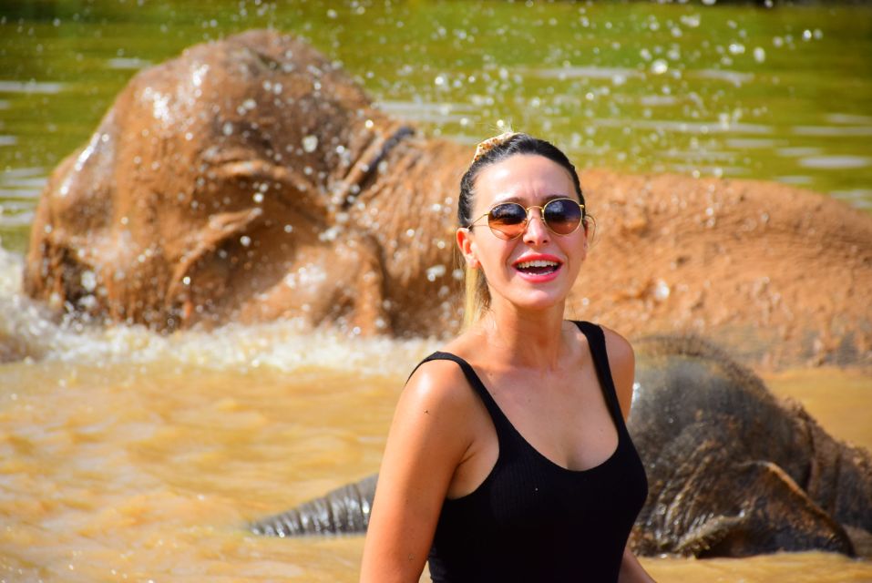 From Chiang Mai: Elephant Care Program and Nursery Tour - Shower, Then Thai Vegetarian Buffet Lunch