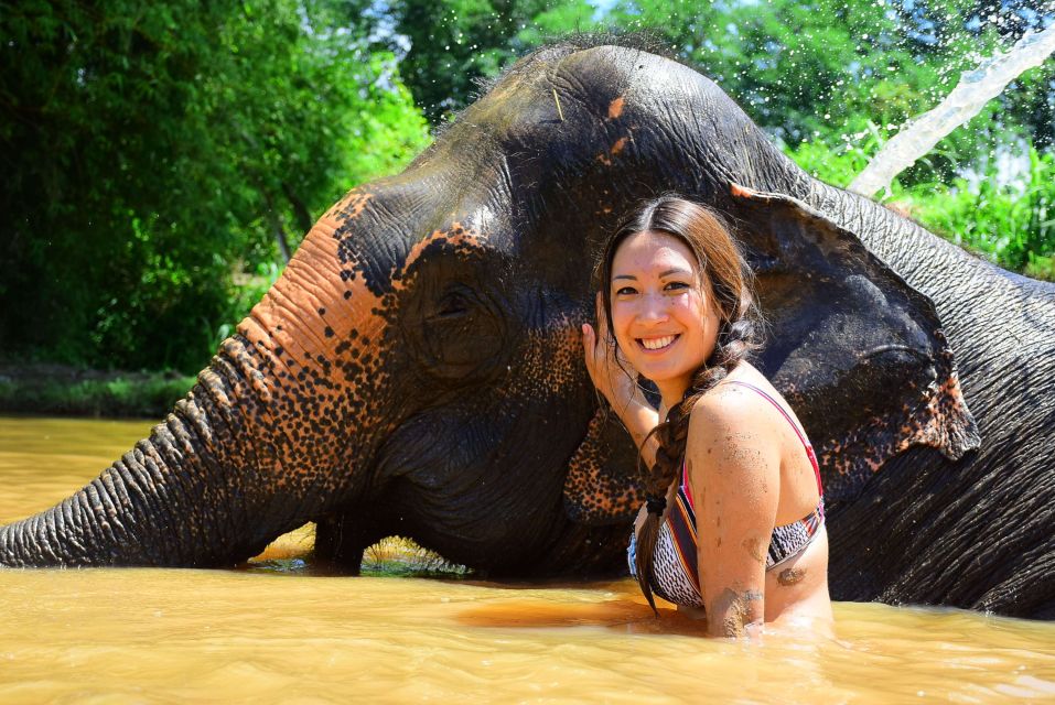 From Chiang Mai: Elephant Care Program and Nursery Tour - Photos With the Elephants: Worth Budgeting For