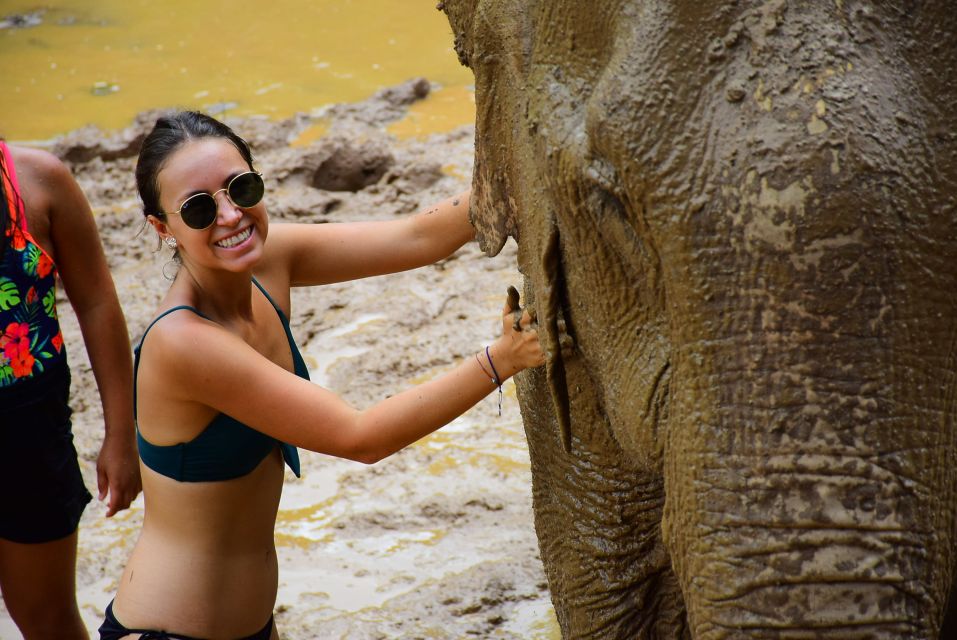 From Chiang Mai: Elephant Care Program and Nursery Tour - Timing, Pace, and Group Size on a 5–6 Hour Day