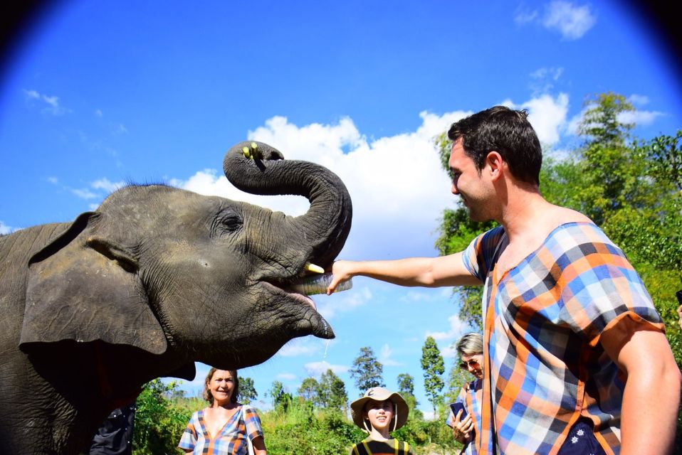 From Chiang Mai: Elephant Care Program and Nursery Tour - Changing Into Local Clothes and Getting Oriented Like a Pro