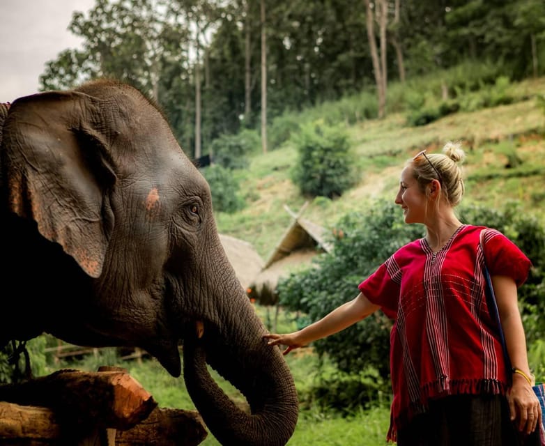 From Chiang Mai: Kerchor Eco Elephant Park Tour - Quick Take: Kerchor Eco Elephant Park at a glance