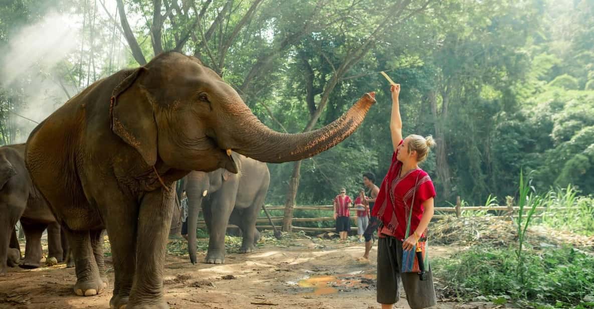 From Chiang Mai: Kerchor Eco Elephant Park Tour - Chiang Mai Pickup to Kerchor: the countryside reset