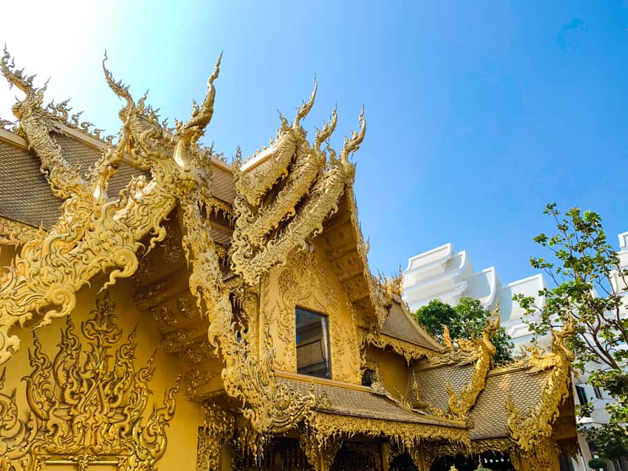 From Chiang Mai: White Temple & Golden Triangle Day Trip - Coffee break at Doi Chang Caffe (Maesuai): the end-of-day reset