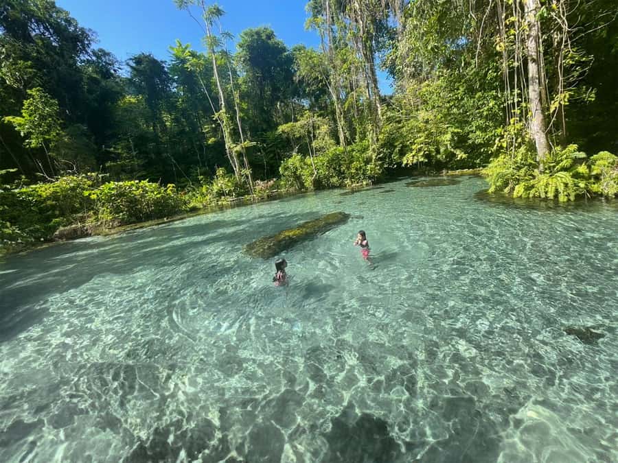 From Khao Lak/Khao Sok: Cheow Lan Lake and Emerald Pool Tour - Nam Rad Watershed Creek and Emerald Pool: Swim Time, Not Just Photos