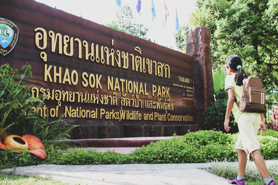 From Khao Lak: Khao Sok Jungle Hike & River Tour - Who this tour suits best (and who should skip it)