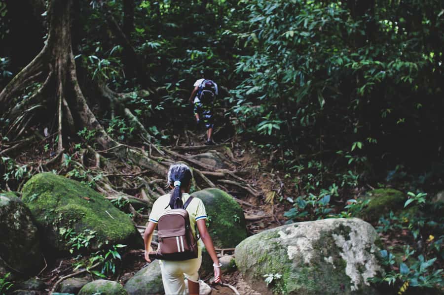 From Khao Lak: Khao Sok Jungle Hike & River Tour - The Stream Cooling Break: when the rainforest feels breathable