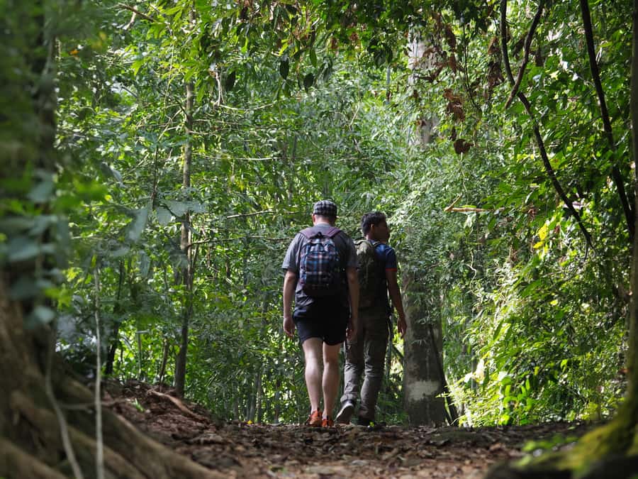 From Khao Lak: Khao Sok Jungle Hike & River Tour - Thai Lunch: what you’re really buying with this price