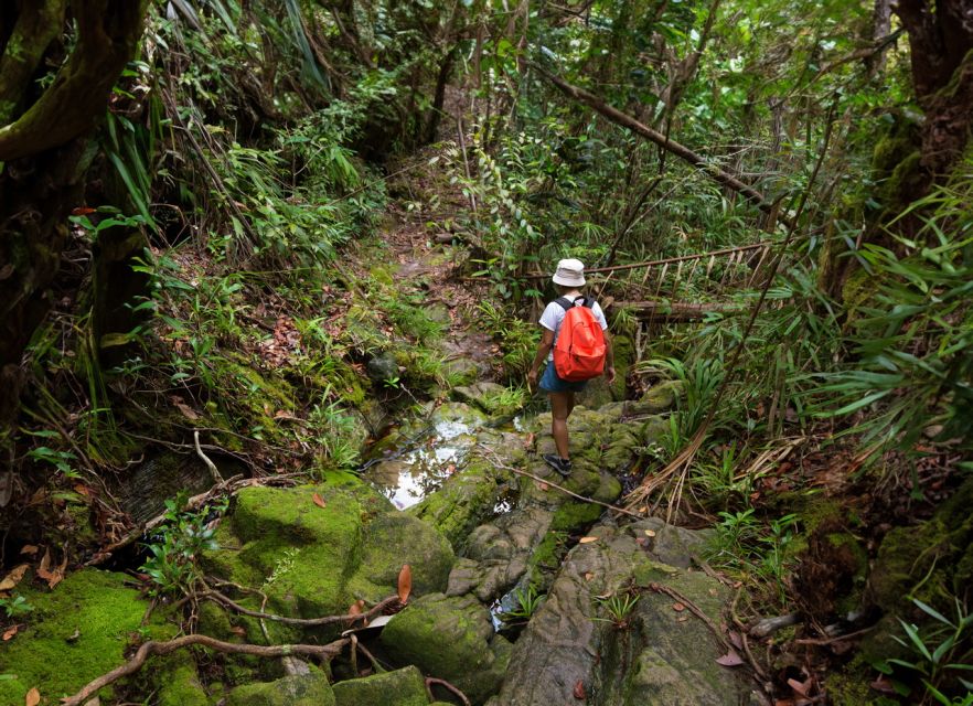From Khao Lak: Khao Sok Jungle Hike & River Tour - Price and value: is $95 a fair deal from Khao Lak?