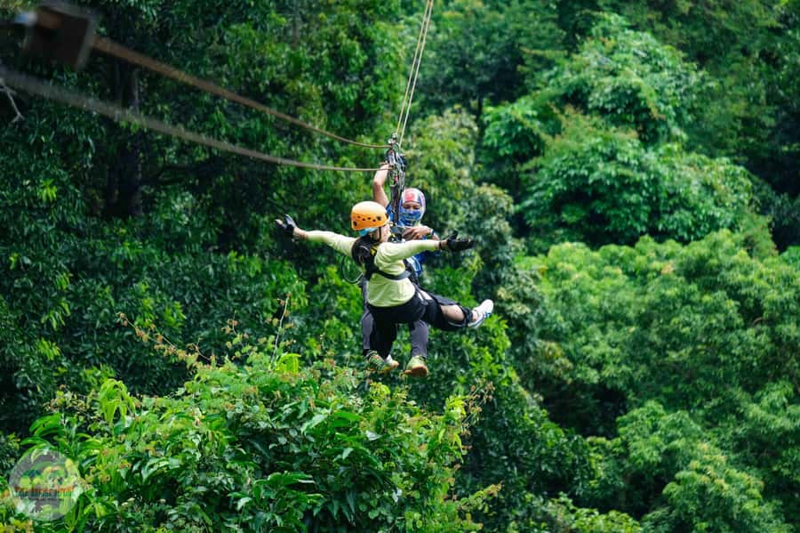 From Koh Samui: Tree Bridge Zipline and Café Experience - Key Highlights You Should Care About