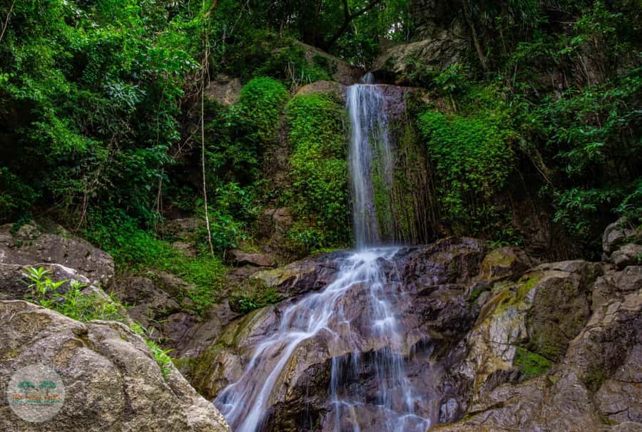 From Koh Samui: Tree Bridge Zipline and Café Experience - Koh Samui Ziplining Feels Like a Jungle Theme Park for Grown-Ups