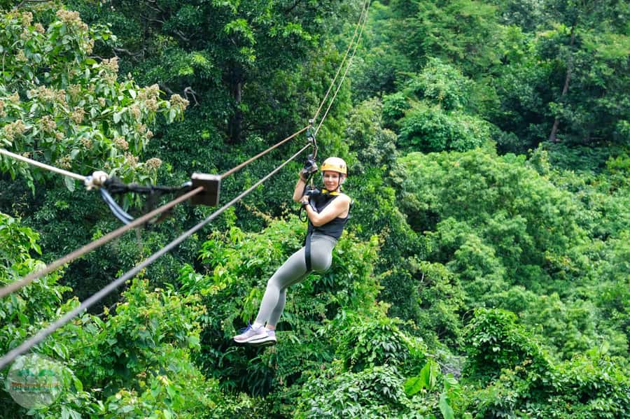 From Koh Samui: Tree Bridge Zipline and Café Experience - What the Tree Bridge Café Adds (Beyond a Free Drink)