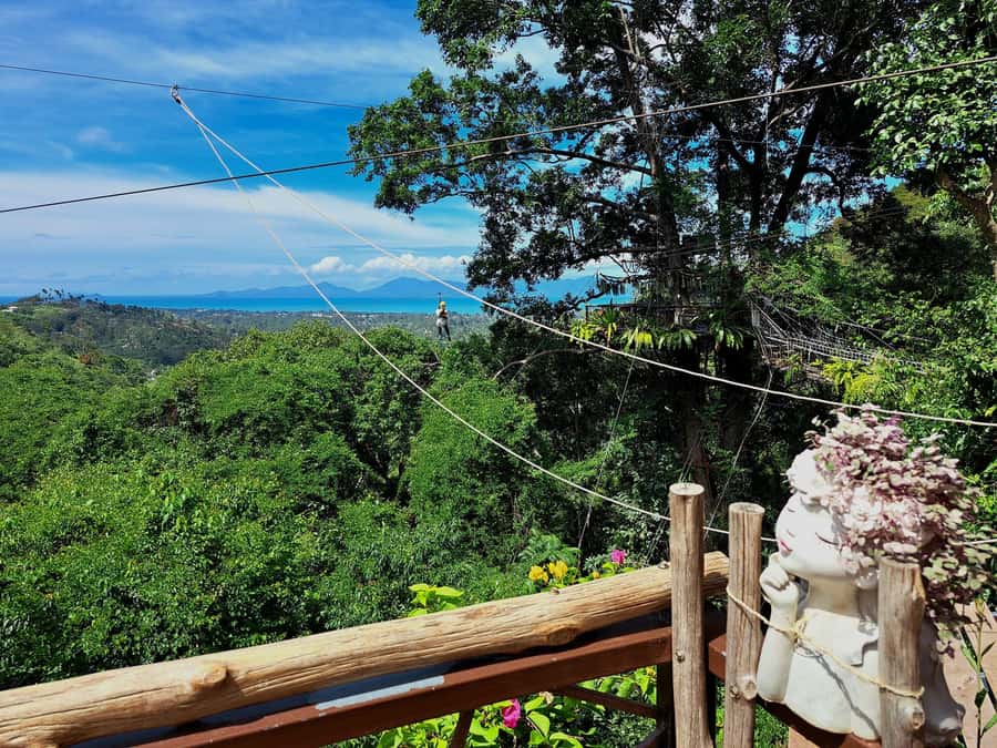 From Koh Samui: Tree Bridge Zipline and Café Experience - What to Wear and Bring for a Smooth Day