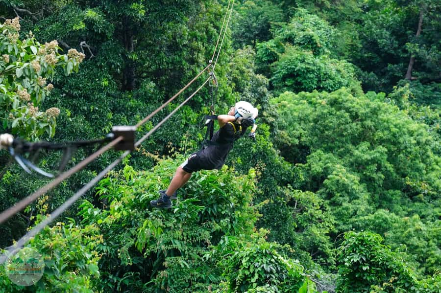 From Koh Samui: Tree Bridge Zipline and Café Experience - Who Should Go, and Who Should Skip