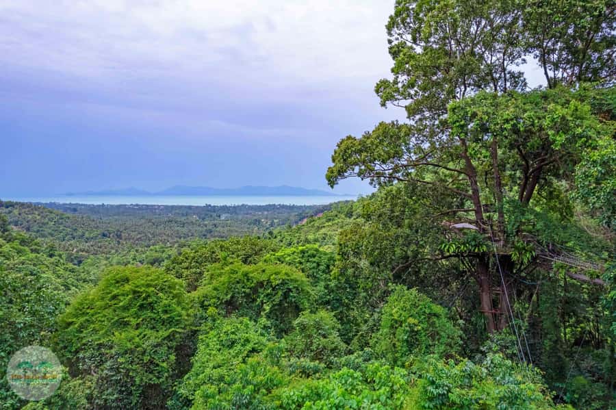 From Koh Samui: Tree Bridge Zipline and Café Experience - The Course: 8 Cables, 1,200 m, and Waterfall Views Between Trees