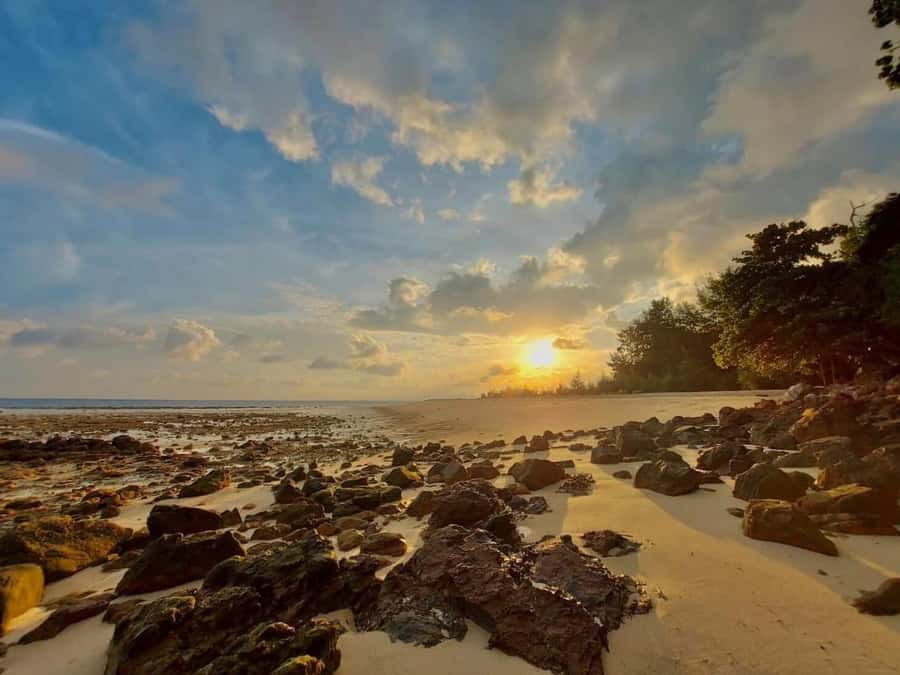 From Krabi: Phi Phi Early Bird & 4 Islands by Speedboat - The main route: from first sandbar to Maya Bay