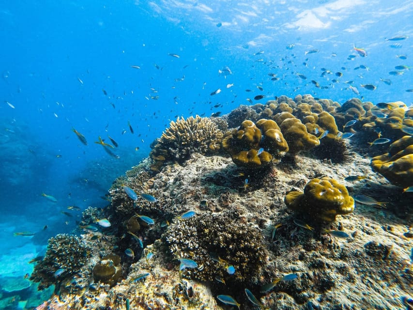 From Krabi: Phi Phi Islands Speedboat Day Tour - Key things to know before you go