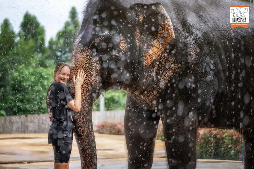 From Phuket: Elephant Jungle Sanctuary Feed and Shower Trip - Key moments you will actually care about