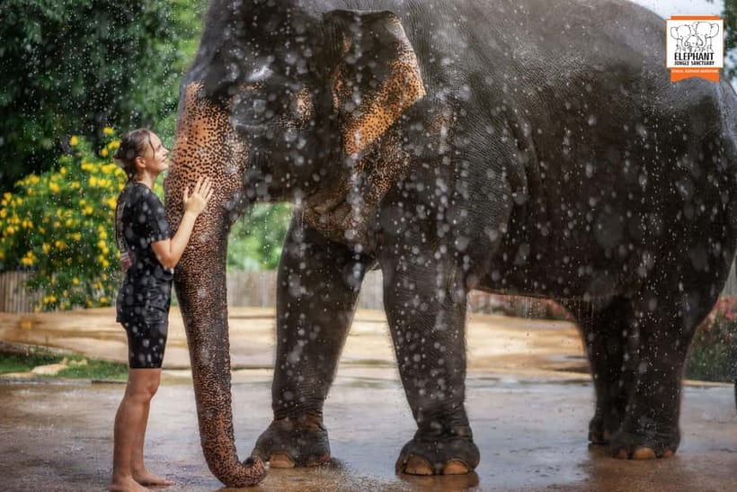 From Phuket: Elephant Jungle Sanctuary Feed and Shower Trip - Photography and the small details that affect your experience