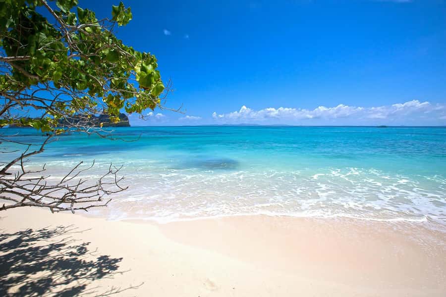 From Phuket Or Khao Lak: Phi Phi Islands Early Bird Tour - Stop 3: Monkey Beach, views plus water time