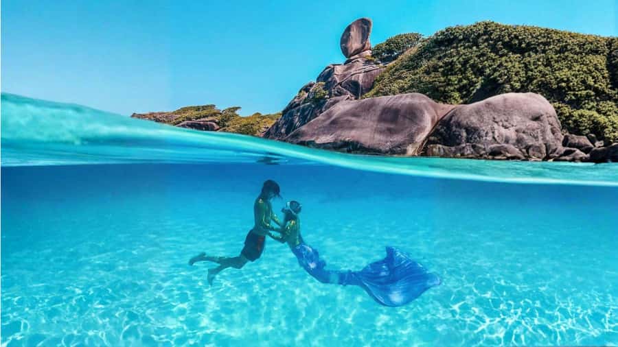 From Phuket or Khaolak : Similan Islands Day Trip - Key moments that make this day trip click