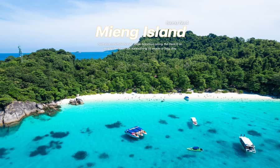 From Phuket or Khaolak : Similan Islands Day Trip - Ba Ngu Island (Island No. 9): coral bay snorkeling built for fish spotting