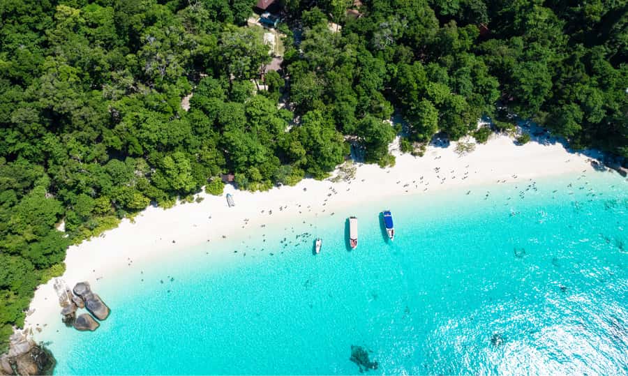 From Phuket or Khaolak : Similan Islands Day Trip - What the guide team does beyond the checklist