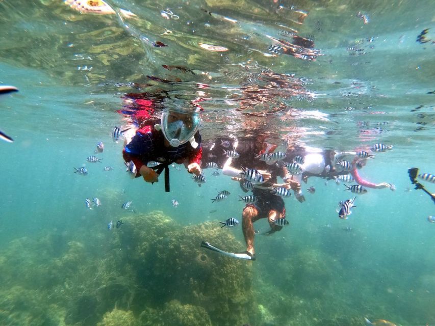 From Phuket: Phi Phi, Maya Bay, & Khai Islands Premium Trip - Khai Islands (Khai Nai): the calm end to a long day