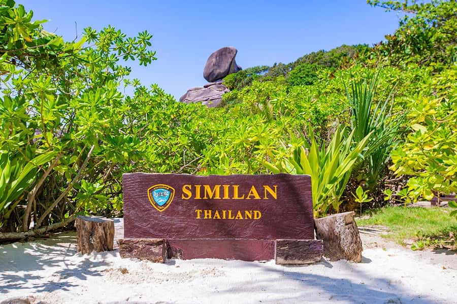 From Phuket: Similan Islands Snorkeling Trip by Speedboat - The early pickup and pier routine (why timing matters)