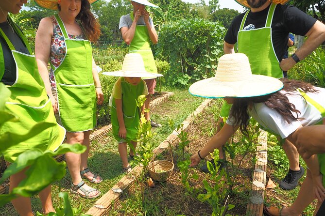 Full Day Thai Cooking at Farm (Chiang Mai) - Why This Chiang Mai Cooking Class Starts at 8:00 AM